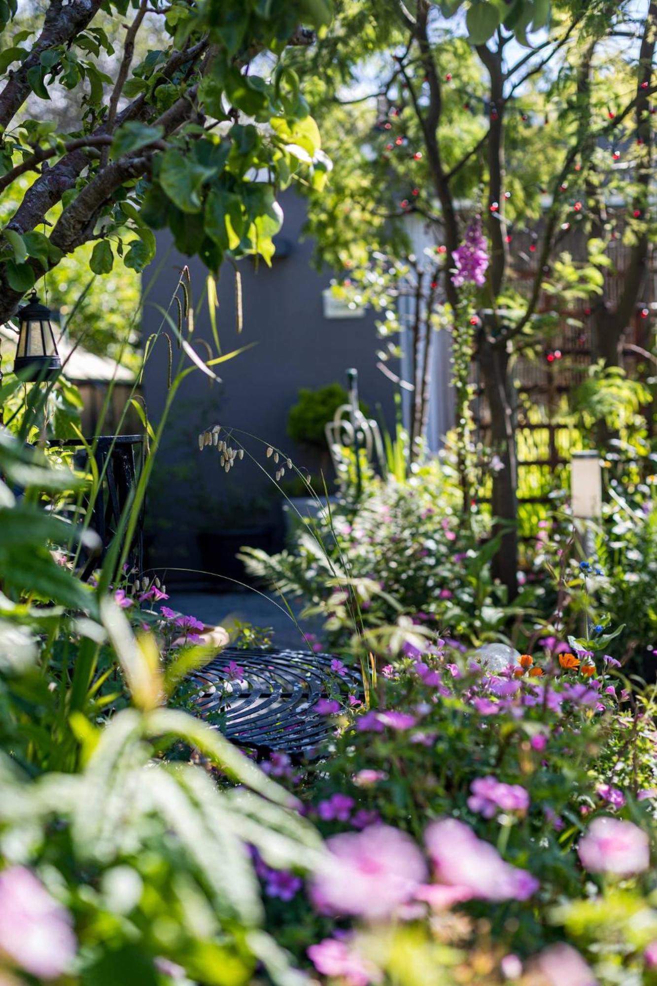 Hideaway Cabin For Two On Edge Of New Forest 힌튼 외부 사진